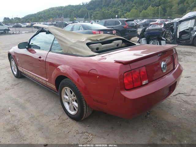 2009 FORD MUSTANG V6/V6 PREMIUM 照片 3