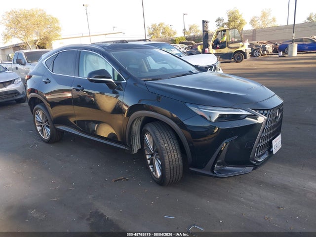 2025 LEXUS NX LUXURY