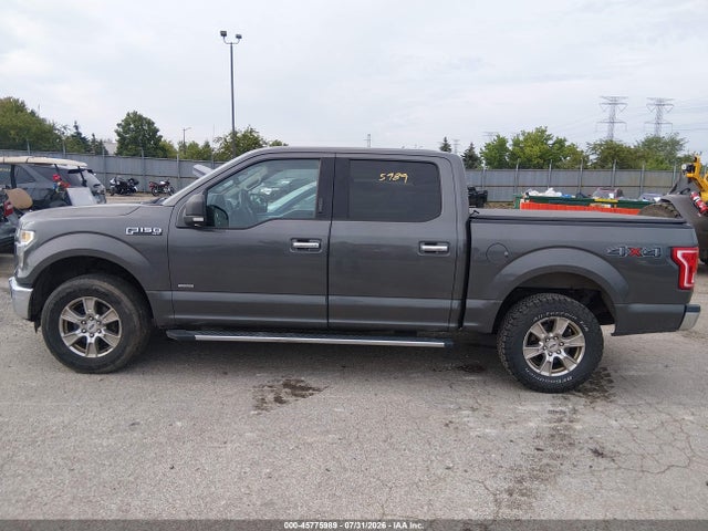 صورة مصغرة 14 لـ 2016 FORD F-150 XLT