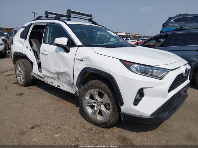2019 TOYOTA RAV4 XLE