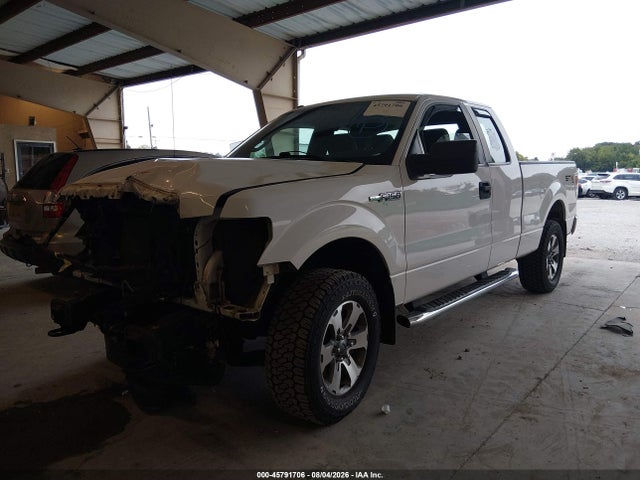 2013 FORD F-150 STX 照片 2