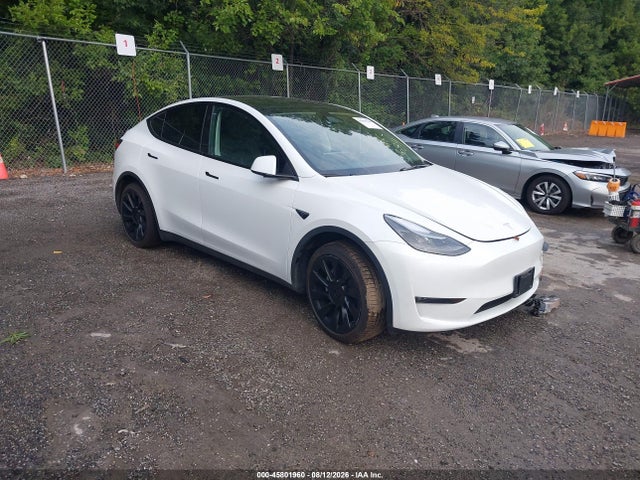 2023 TESLA MODEL Y RWD