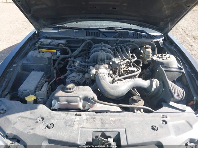 2010 FORD MUSTANG V6/V6 PREMIUM 照片 10