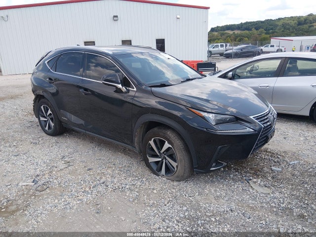 2019 LEXUS NX 