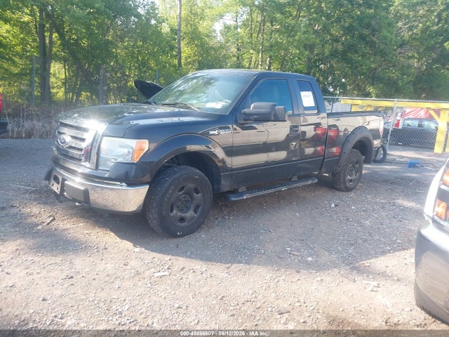 2010 FORD F-150 XLT 照片 2
