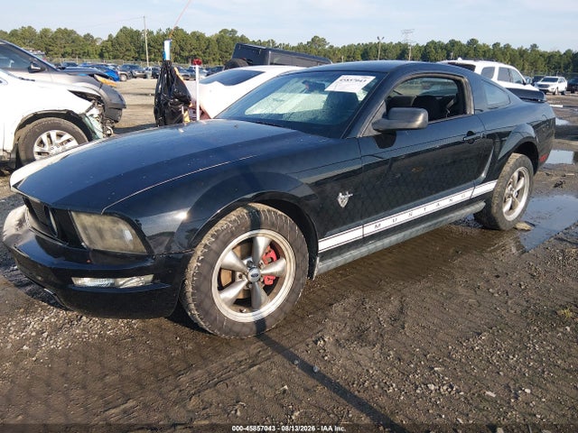 صورة 2 لـ 2009 FORD MUSTANG V6/V6 PREMIUM