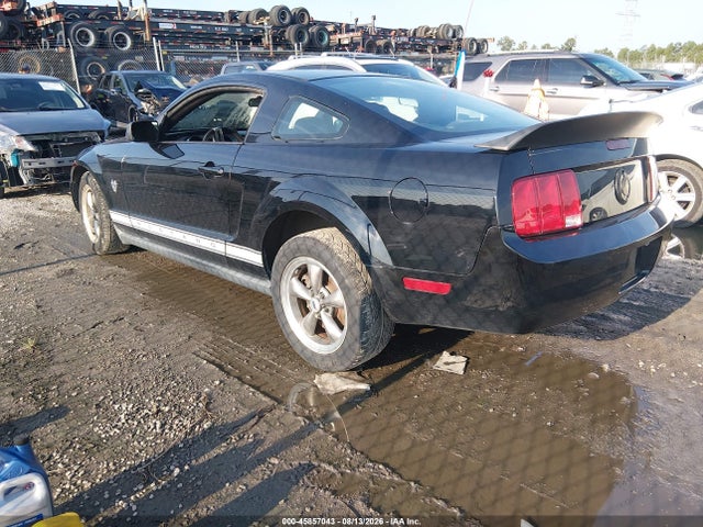صورة 3 لـ 2009 FORD MUSTANG V6/V6 PREMIUM