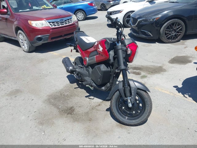 2025 HONDA NVA110 B