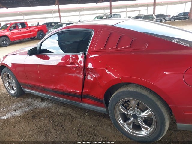 2010 FORD MUSTANG V6/V6 PREMIUM 照片 6