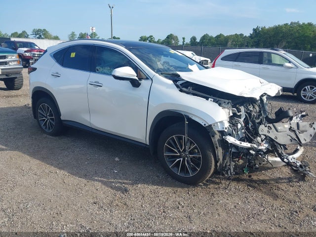 2024 LEXUS NX LUXURY