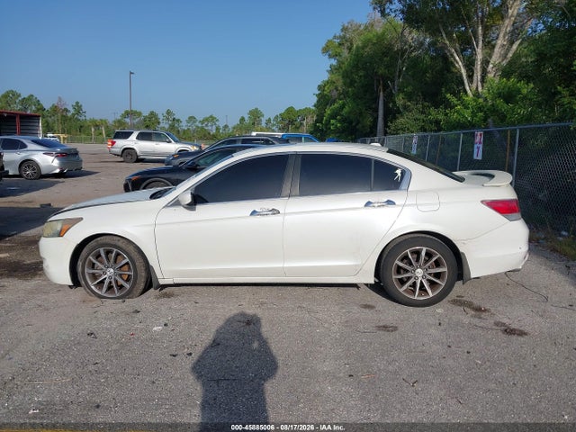 صورة 14 لـ 2008 Honda ACCORD 3.5 EX-L