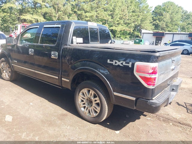 2013 FORD F-150 PLATINUM 照片 3