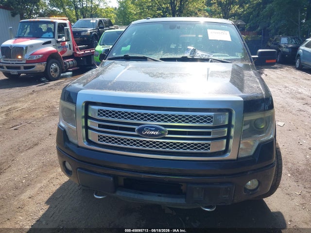 2013 FORD F-150 PLATINUM 照片 6