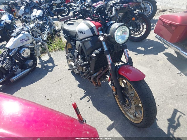 2021 YAMAHA XS 