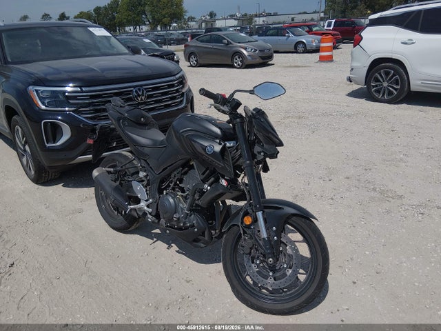 2025 YAMAHA MTN320 A