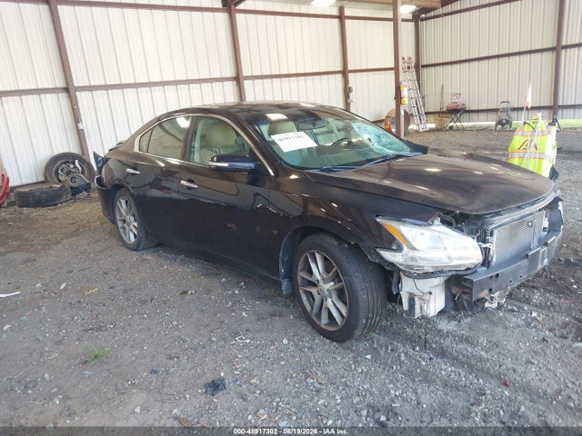 2010 NISSAN MAXIMA 3.5 SV