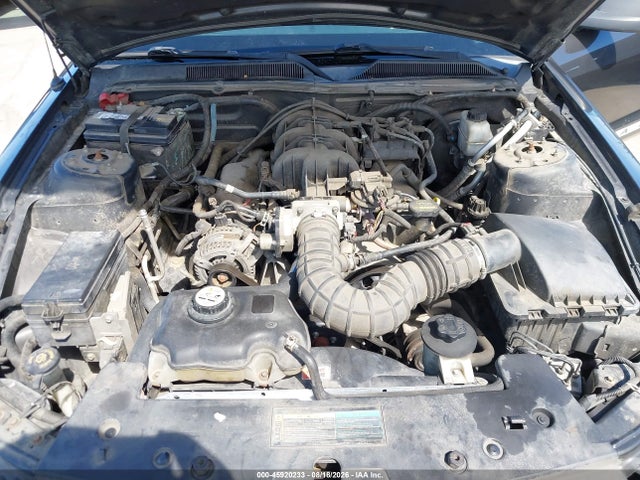 2009 FORD MUSTANG V6/V6 PREMIUM 照片 10