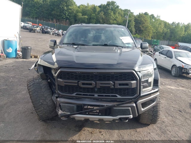 2017 FORD F-150 RAPTOR 照片 12