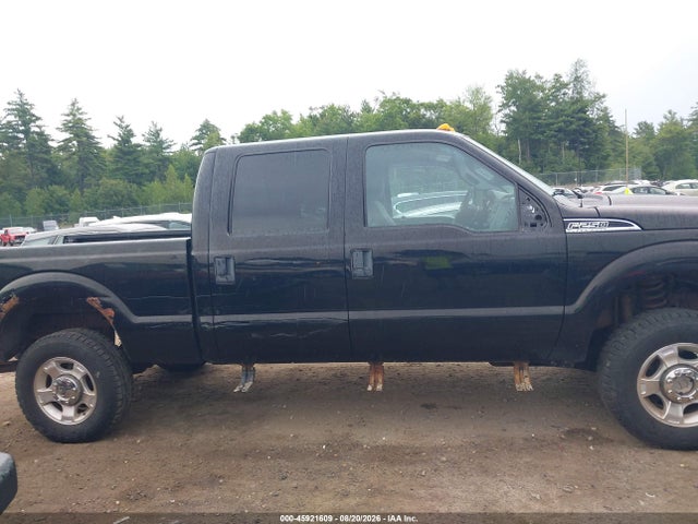 صورة 14 لـ 2016 FORD F-250 XLT