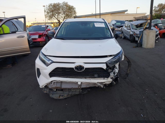 2024 TOYOTA RAV4 LE 12