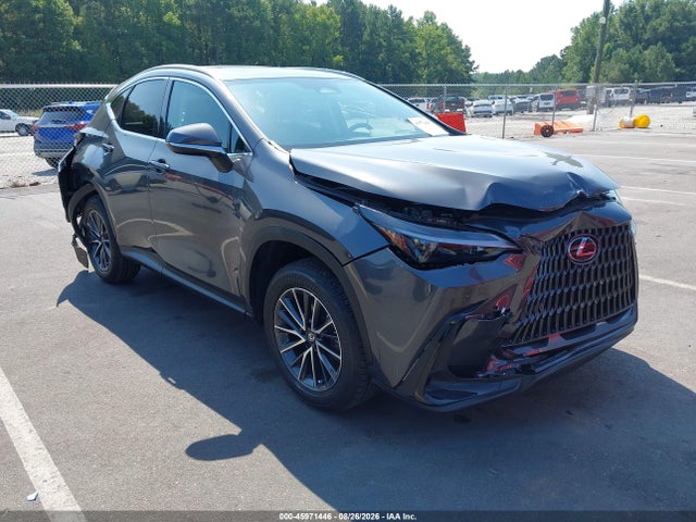 2026 LEXUS NX 