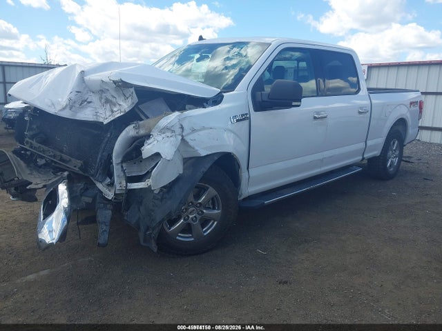 2019 FORD F-150 XLT 2