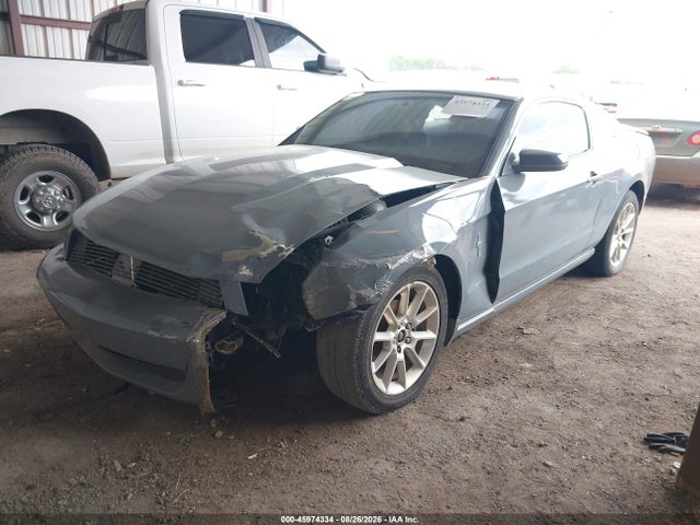 2010 FORD MUSTANG V6/V6 PREMIUM 照片 2