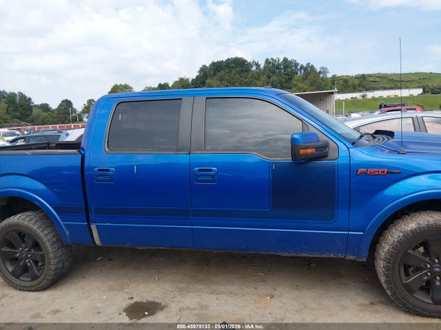 2013 FORD F-150 FX4 照片 13