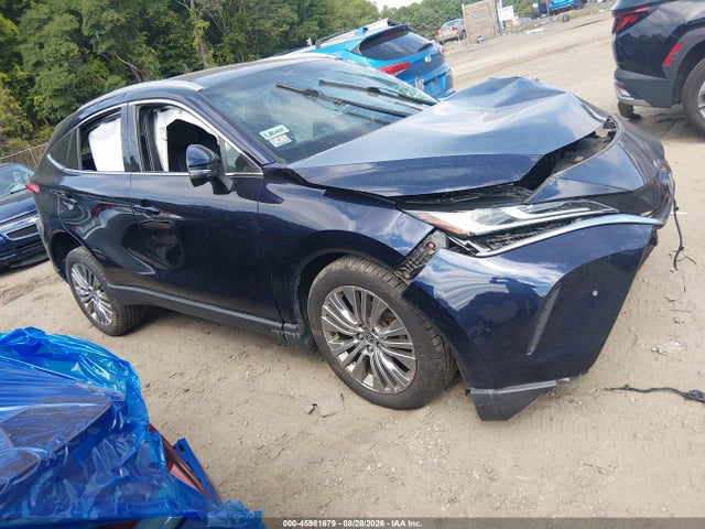 2024 TOYOTA VENZA XLE