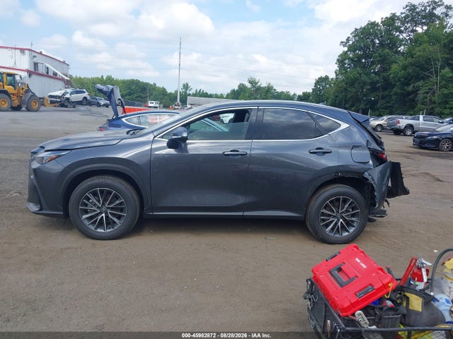2025 LEXUS NX 350 PREMIUM 14