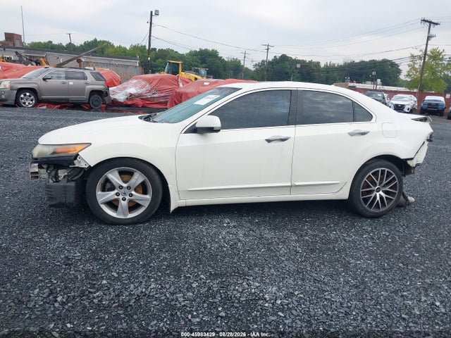 2010 Acura TSX 2.4 照片 14