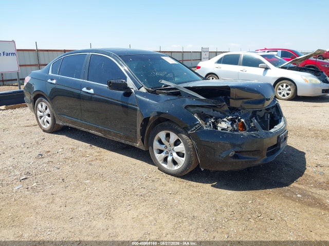 2010 HONDA ACCORD 