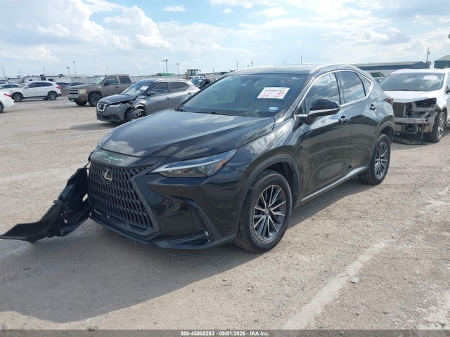 2023 LEXUS NX 350 PREMIUM 2
