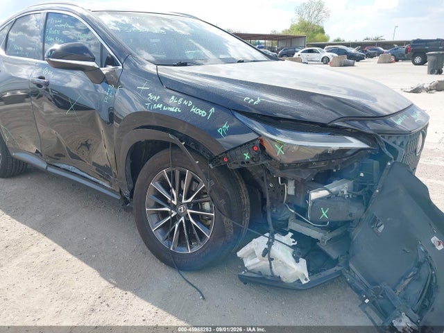 2023 LEXUS NX 350 PREMIUM 6