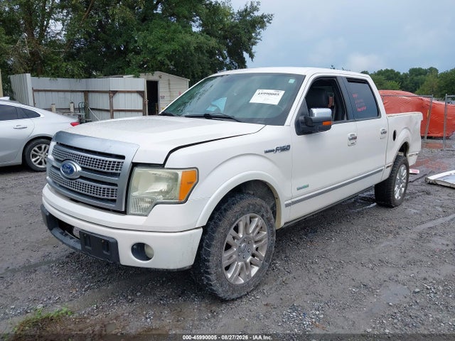 2011 FORD F-150 PLATINUM — фото 2