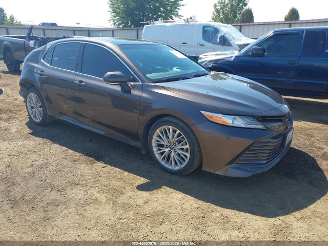 2019 TOYOTA CAMRY XLE