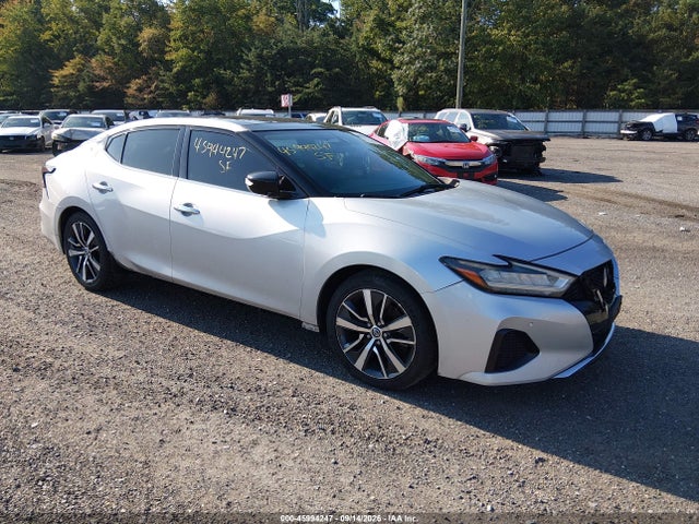 2019 NISSAN MAXIMA 3.5 SL