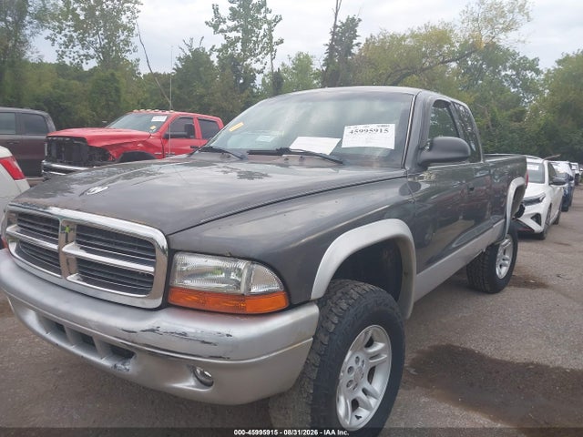 2004 Dodge DAKOTA SLT 照片 2