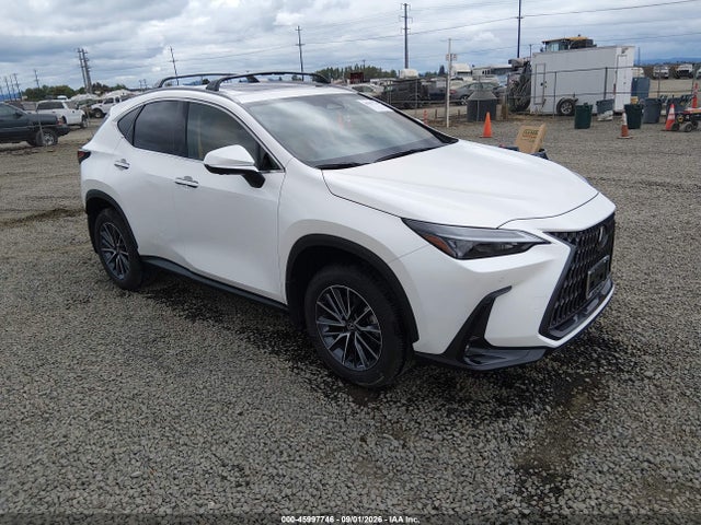 2025 LEXUS NX PREMIUM