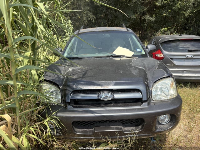 2006 HYUNDAI SANTA FE GLS
