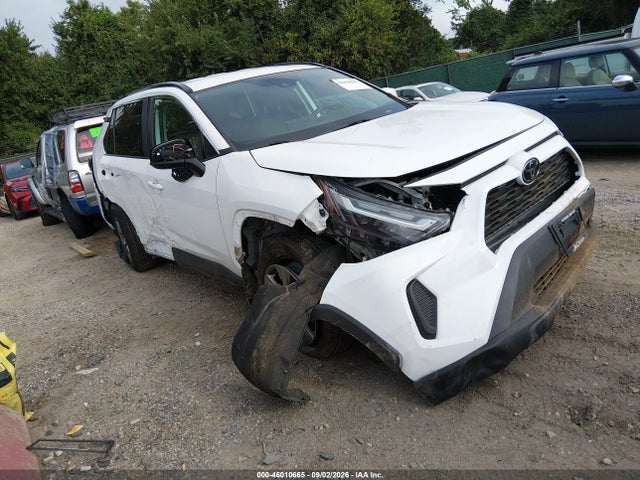 2023 TOYOTA RAV4 XLE