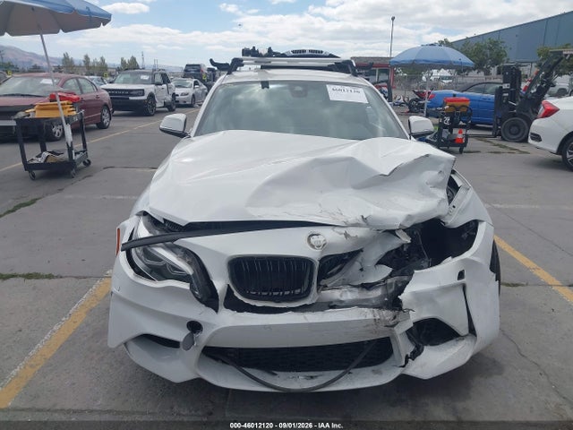 2017 BMW M2 照片 12