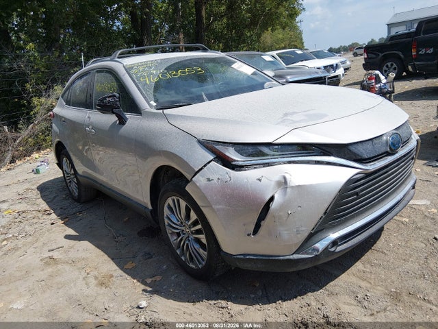2023 TOYOTA VENZA XLE