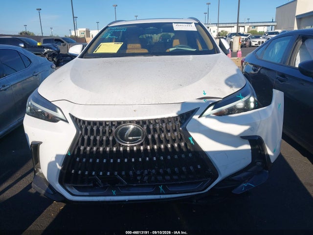 2026 LEXUS NX 350 12