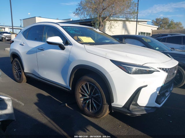 2026 LEXUS NX 350 13