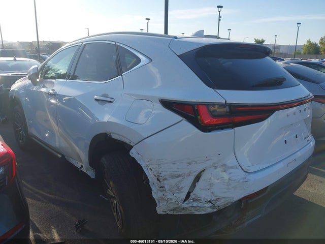 2026 LEXUS NX 350 14