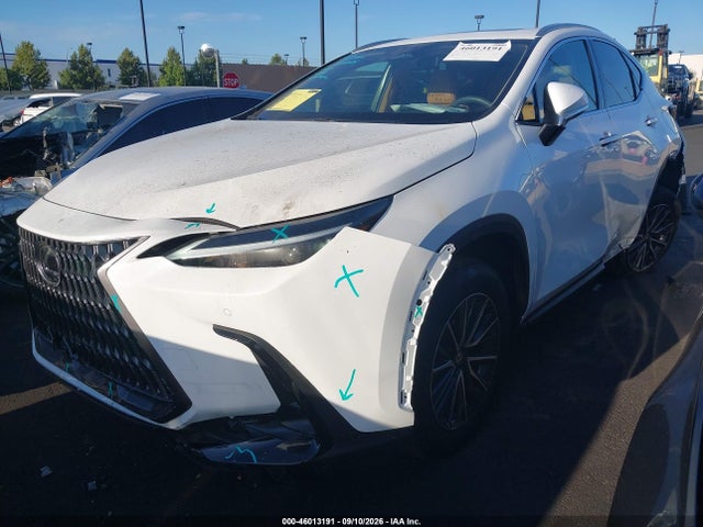 2026 LEXUS NX 350 2