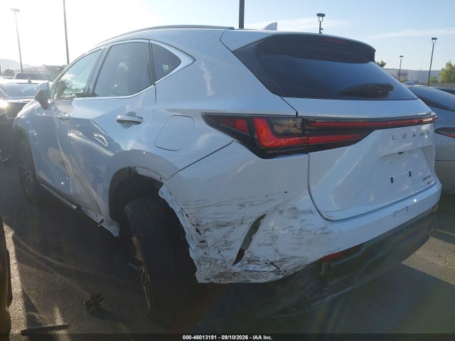 2026 LEXUS NX 350 3