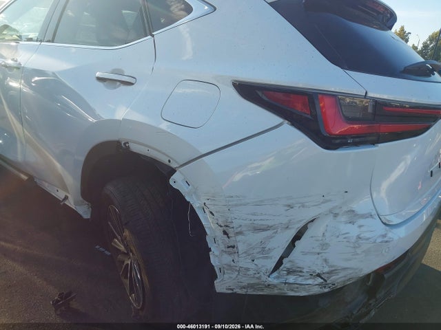 2026 LEXUS NX 350 6