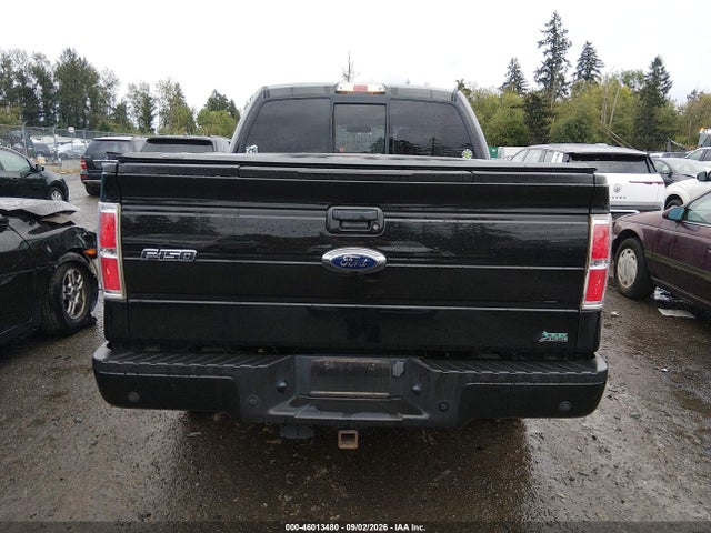 صورة 17 لـ 2010 FORD F-150 FX4